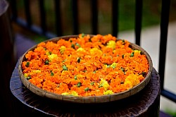 Marigold flowers