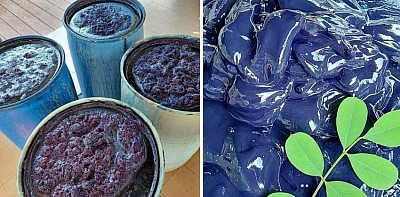 The Indigo Dye Pot หม้อครามของ Studio Chiangdao Blue