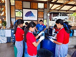 Indigo dye educational program