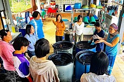 Indigo dye educational program