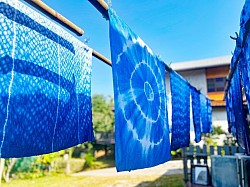 Indigo dye educational program