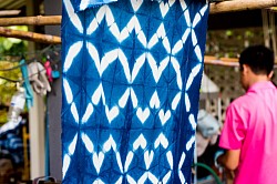 Indigo dye educational program